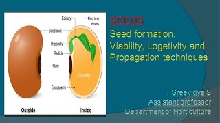 Seed formation Viability Longevity and Propagation techniques [upl. by Baer]