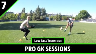 Session 7  Goalkeeper Training  Pro GK Academy [upl. by Czarra]