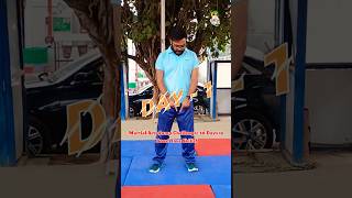 30 Days of Martial Arts Jump Training  Day1  Boost Your Skills  Martial Arts With Kuldeep [upl. by Ysnap985]