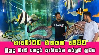 Wow From Ocean to Aquarium  These Amazing Sri Lankan Saltwater Fish Will Blow Your Mind 😍 [upl. by Ennazzus]