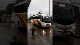 autobus au ordinario marcopolo viaggio 950 en orizaba [upl. by Aglo]