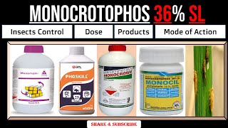 Monocrotophos 36 SL  Monocrotophos Insecticide  Uses  Dose  For which Insects  Mode of Action [upl. by Ashti137]