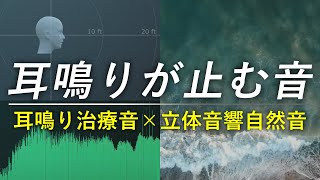 【音響療法】耳に合えば耳鳴り軽減×心地いい波の音で更にリラックス🌊 [upl. by Mimajneb311]