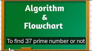 Write Algorithm to find 37 prime number or not draw Flowchart for it  Algorithm Flowchart [upl. by Notsur]