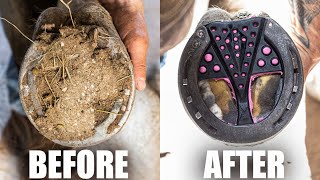 Satisfying Full Horse Hoof Restoration  4K FARRIER ASMR [upl. by Beatrice681]