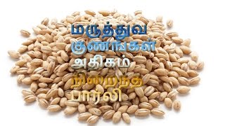 மருத்துவ குணங்கள் அதிகம் நிறைந்த பார்லி Barley Tamil [upl. by Clotilde]