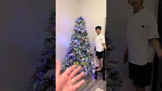 Son puts up the Christmas tree for the whole family then mom and dad do this shorts [upl. by Ecirahc]