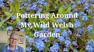 Pottering Around My Wild Welsh Garden [upl. by Cobby767]