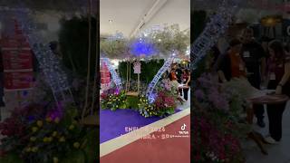 Enflor 2024 holambra cidadedasflores flores eventos [upl. by Yelsnik]