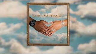 GIMS  Sois pas timide Official Lyrics Video [upl. by Yrelbmik202]