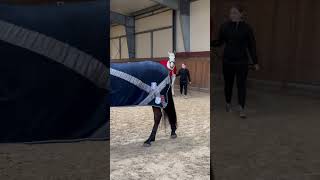 Polish Championship 🇵🇱 CVI Radzionków 2024 cichondressage vaulting equine [upl. by Krever]