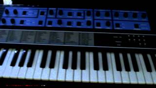 Organ Music Center  Organ amp Synth Vintage  Reportage parte 2 [upl. by Nwahsak]