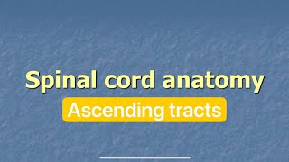 Neuroanatomy spinal cord part 3 [upl. by Yalhsa881]