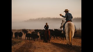 Moving Cattle on The 808 Ranch [upl. by Chantalle]