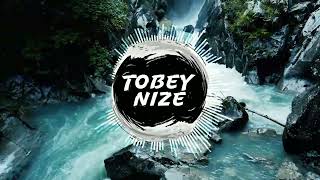 Wincent Weiss  Morgen TOBEY NIZE REMIX [upl. by Annayrb870]