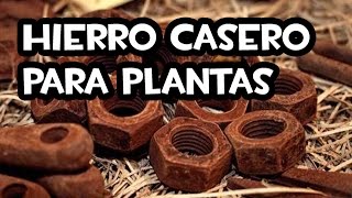 Hierro casero para las Plantas [upl. by Laaspere232]