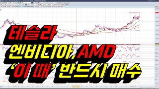 테슬라 엔비디아 AMD 이때 반드시 매수 SOXLTQQQSPY아이온큐 [upl. by Rehpotisrhc]