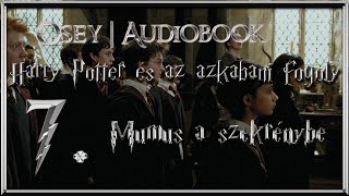 Harry Potter és az azkabani fogoly hangoskönyv remake  7 fejezet [upl. by Jacobba]