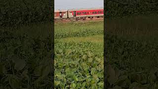 Train ke Right side me singnal kiu lagaya jata hai str trending song railway funny food love [upl. by Rossen654]