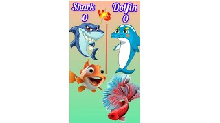 Shark vs dolphin 🐳🐋 😁😇 shorts shark dolfin [upl. by Jobyna645]