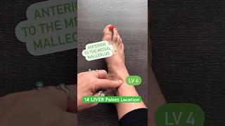 How to locate the 14 LIVER Acupuncture Points acupuncturepoints [upl. by Hildy977]