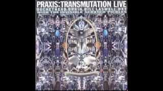 Full Album Praxis  Transmutation Live [upl. by Lontson510]