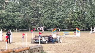 Bicton Arena NSEA Arena Eventing 100cm [upl. by Grube]