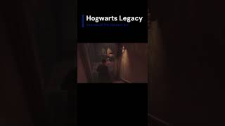 Hogwarts Legacy Secrets Of The Darkest Art Book Location [upl. by Cheshire]