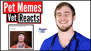 Veterinarian Reacts To Hilarious Pet Memes Part 1  Dogtor Pete [upl. by Adnuhs]