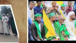 Mawlid in the city of Harar 2024 [upl. by Elene476]