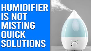 Humidifier is Not Misting – Reasons and Quick Solutions [upl. by Enomad965]