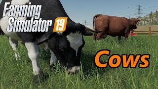 Farming Simulator 19 Tutorial  Cows [upl. by Durant]