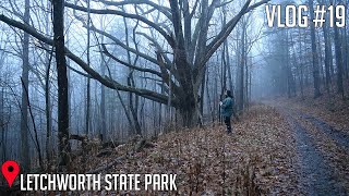 Photographing Old Growth Trees at Letchworth State Park  Landscape Photography Vlog [upl. by Hsivat474]