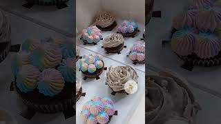 Rainbow cupcake  chocolate cupcake 🧁  ytshorts ytshortsindia cupcake Rainbow [upl. by Coco580]