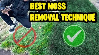 HOW TO REMOVE MOSS FROM YOUR LAWN Treated vs Untreated Results 2 Step process [upl. by Ermeena]