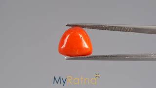 Certified Natural Red Coral  Moonga Gemstone  595 Carat  TC5403  MyRatna [upl. by Ahsan]