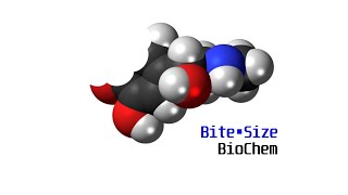 BiteSize Biochem Acetyl CoA and the TCA Cycle [upl. by Ellehcin]