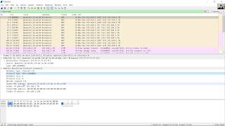 716 Lab  Use Wireshark to Examine Ethernet Frames [upl. by Winchell]