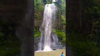 Rijuk Waterfall  রিজুক জলপ্রপাত  RumaBandarban💧waterfall waterfalls bandarban nature travel [upl. by Brodeur]