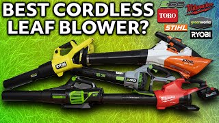 Best Leaf Blower EGO Milwaukee Ryobi Stihl Best Leaf Blower 2024 [upl. by Oijres]