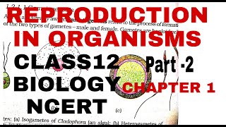 Reproductioninorganisms chapter1CLASS12 NCERT BIOLOGYFORBOARDSNEETANDUPSC UGCBIOLOGY [upl. by Caddric922]