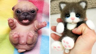 Cute Baby Animals Videos Compilation  Funny and Cute Moment of the Animals 17  Cutest Animals [upl. by Heiskell406]