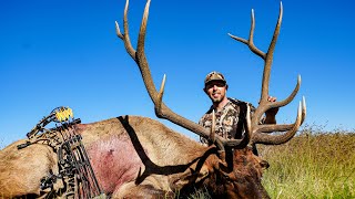 DECEPTION An INSANE archery elk hunt [upl. by Dragon804]