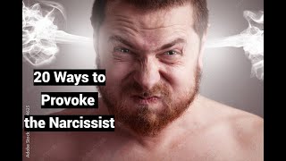 20 Ways to Provoke the Narcissist to Meltdown Tantrum Apoplexy [upl. by Hadley918]