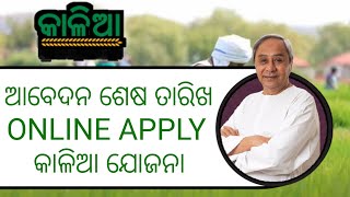 kalia yojana online apply last date 2023  kalia yojana new update  odisha [upl. by Niveek]