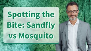 Spotting the Bite Sandfly vs Mosquito [upl. by Fabrianna]