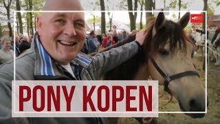 Pony kopen op de Zuidlaardermarkt  handjeklap paardenmarkt  RTV Noord [upl. by Demeyer148]