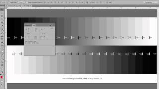 Which Gray Gamma setting to use for digital negatives [upl. by Eduino]