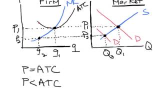 The Longrun Competitive EquilibriumModel [upl. by Batruk]