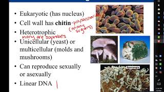 Chapter 1 Introduction to Microbiology [upl. by Haggai799]